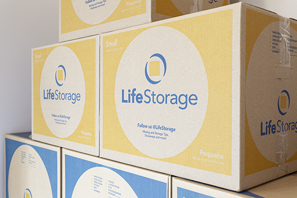 Life Storage Boxes