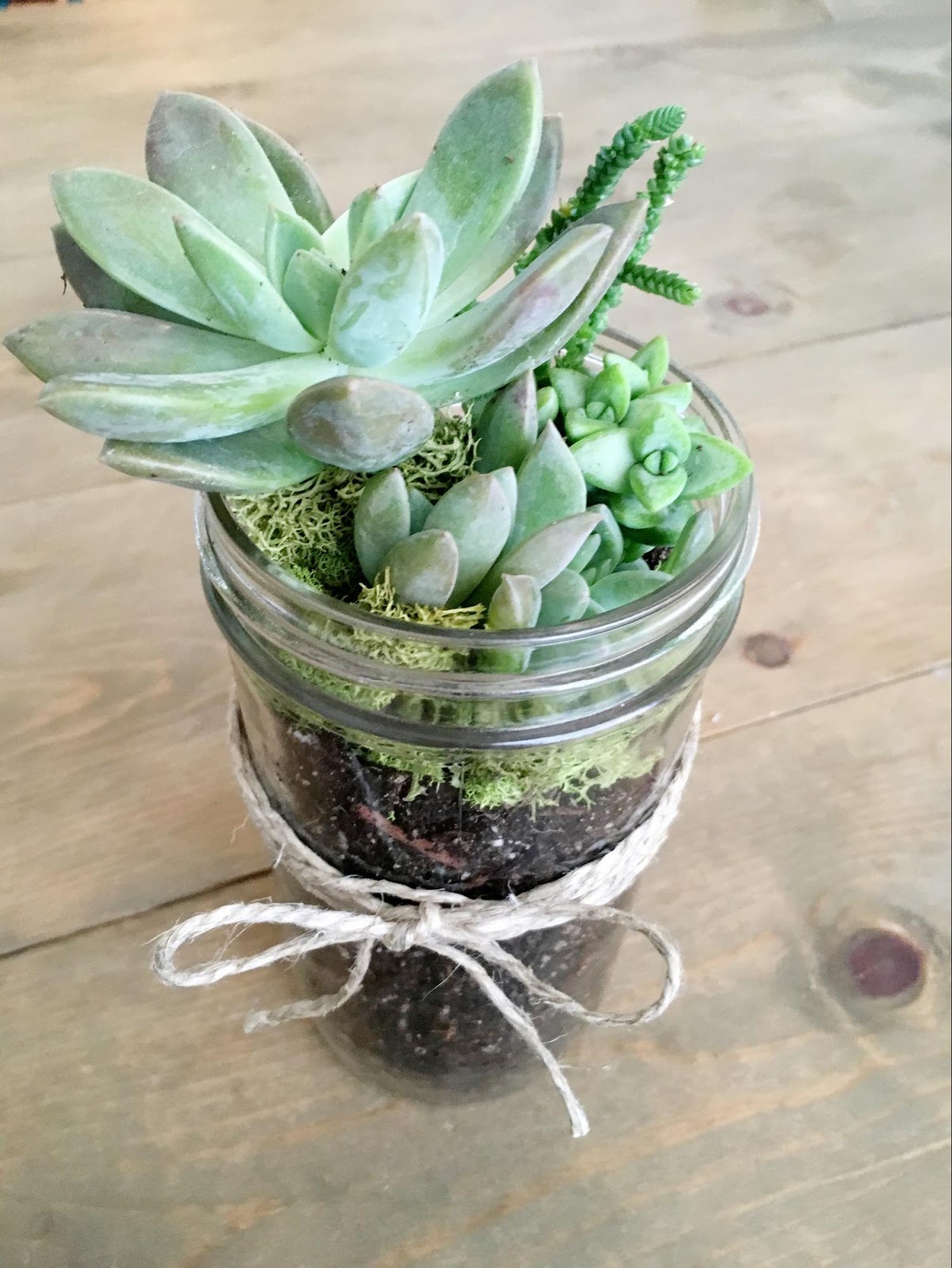 make a planter from a mason jar