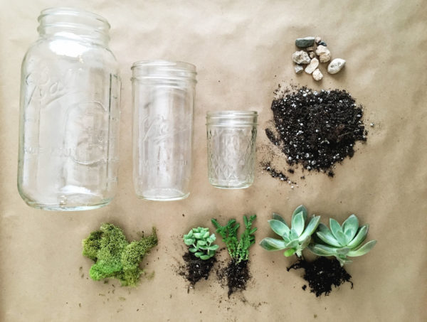 How to Make a Mason Jar Succulent Planter