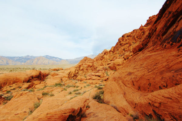 Best Las Vegas Day Trips for New Residents - Red Rock Canyon Vista