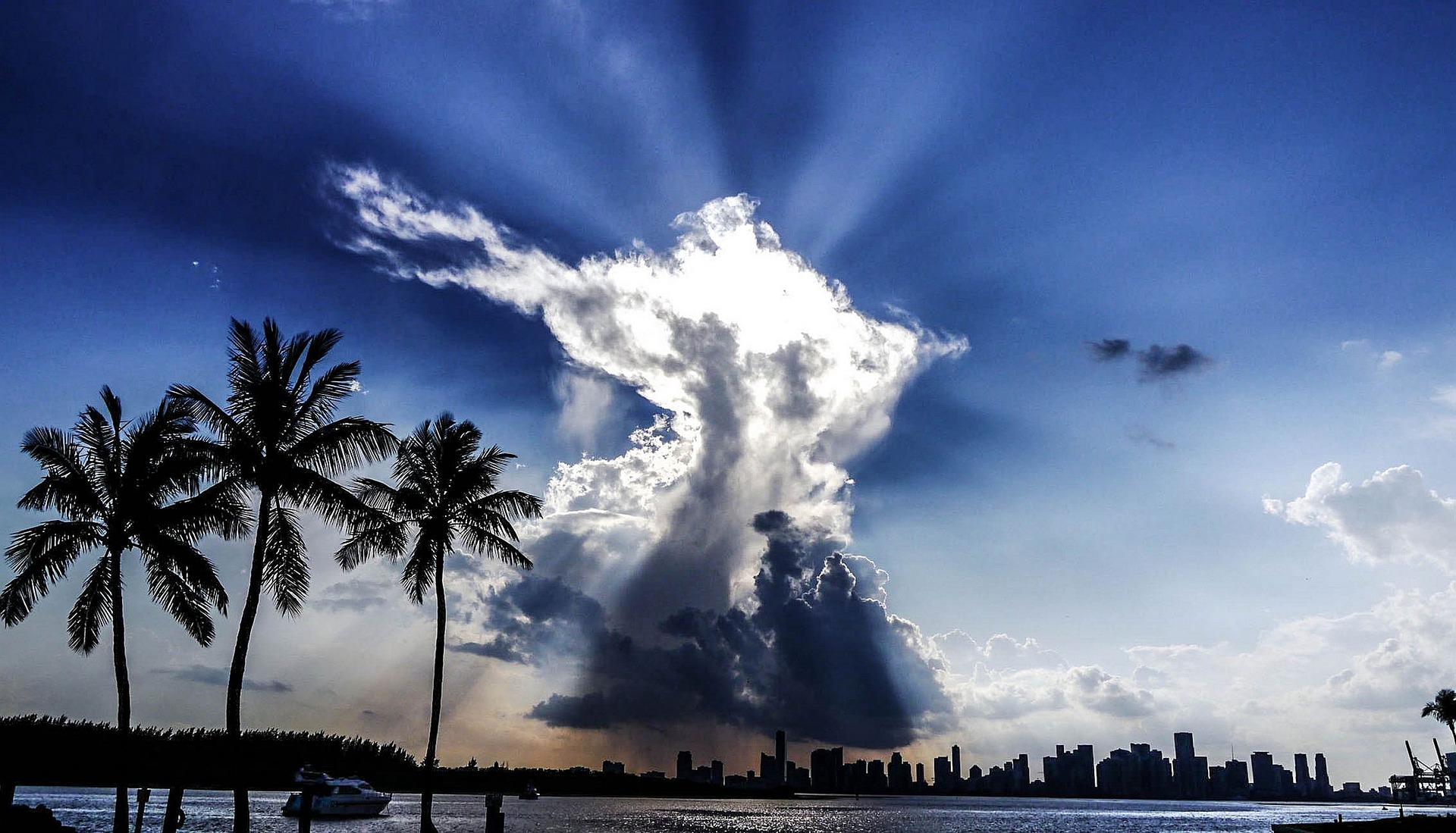 verhuizen naar Miami - mooie wolken, palmbomen
