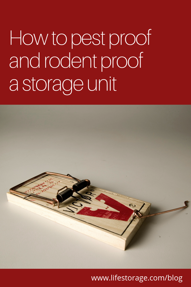 https://www.lifestorage.com/blog/wp-content/uploads/2019/01/life-storage-rodent-proof-storage-6.png