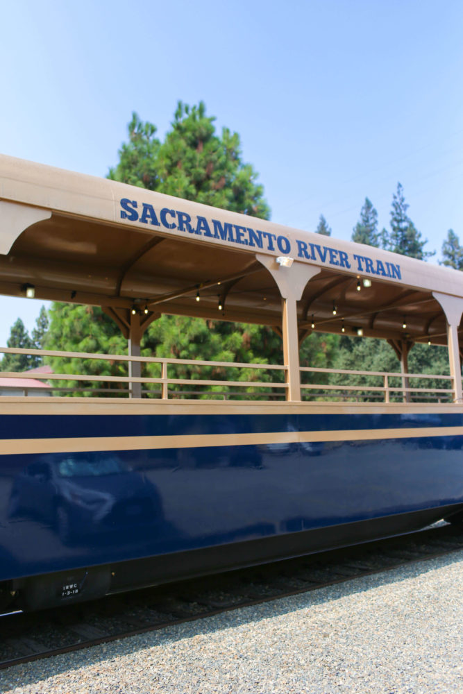 Things to Do in Sacramento - River Train Tour