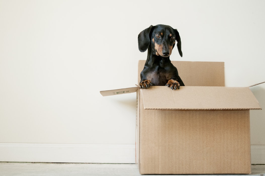 getting rid of stuff after a divorce
