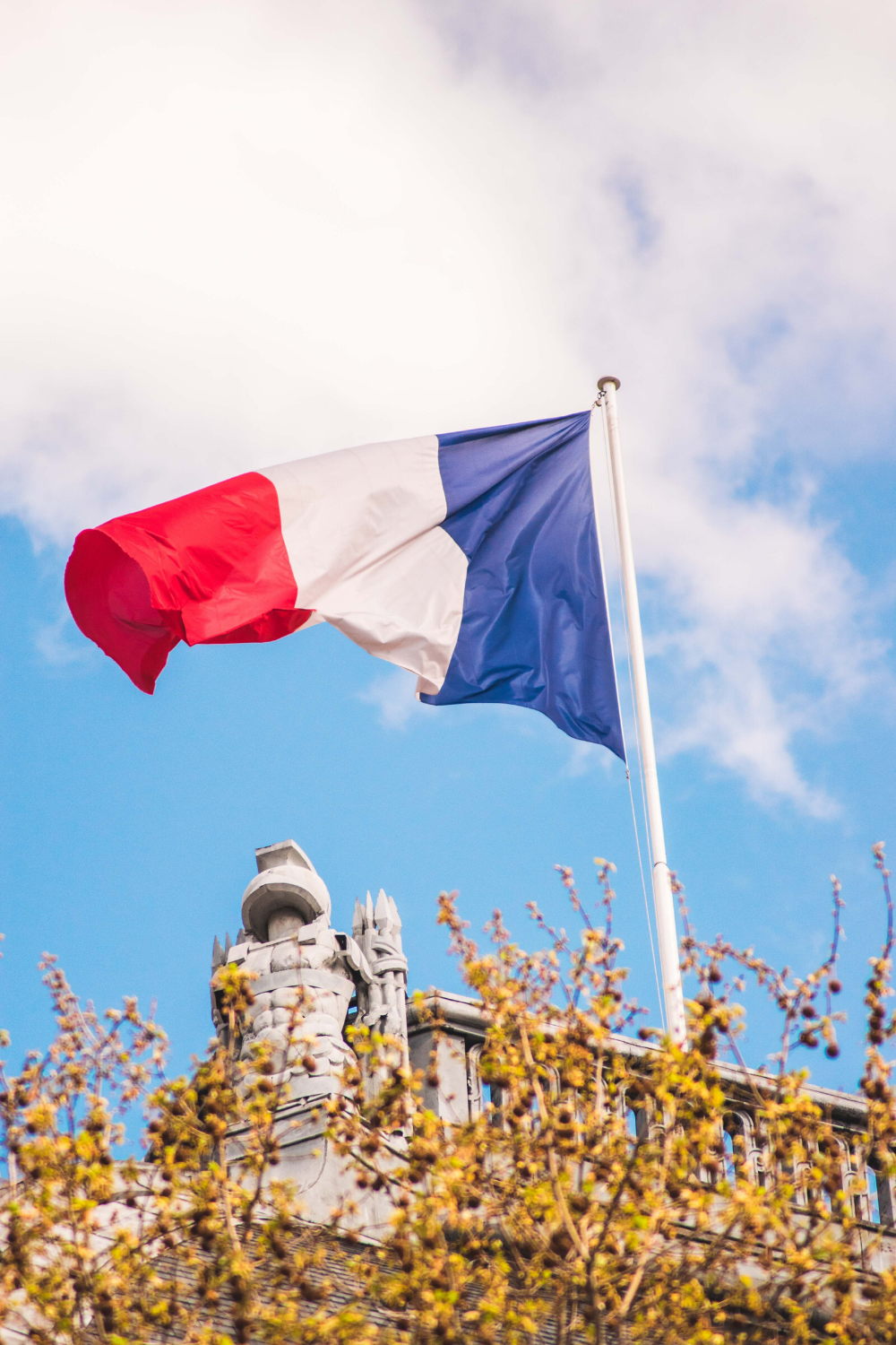 History and Culture in Pensacola - French Flag