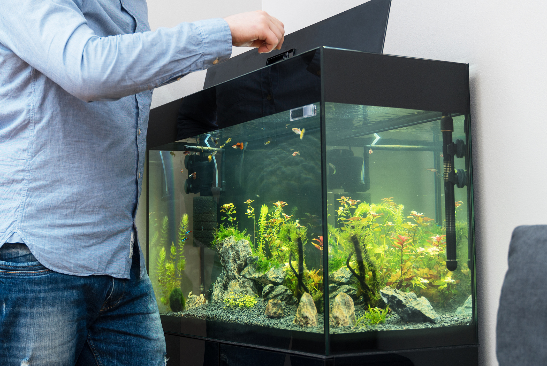 how to move a home aquarium